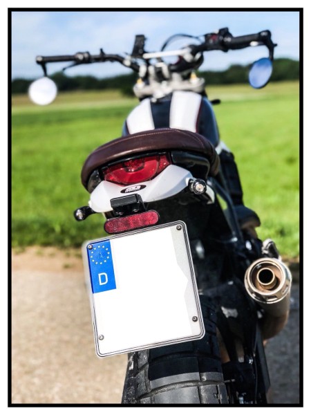 Kürzung Kennzeichenträger - Ducati Scrambler Desert Sled - Moko