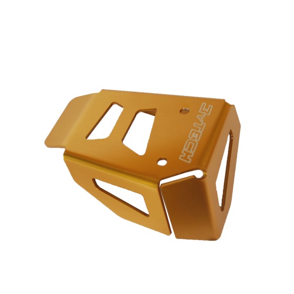 Potentiometer Schutz gold - BMW Nine-T - MY TECH