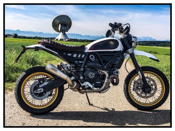 Kürzung Kennzeichenträger - Ducati Scrambler Desert Sled - Moko